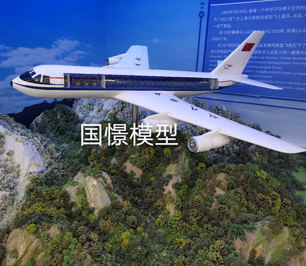 垣曲县飞机模型
